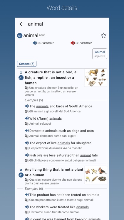 English-Italian Dictionary Pro
