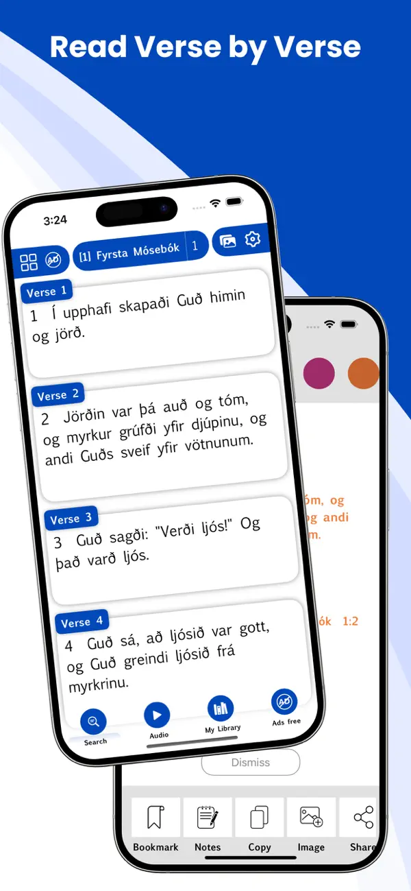 Screenshot #1 pour Icelandic Holy Bible