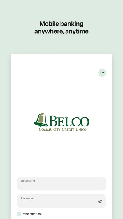 Belco Money Manager