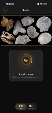 Fossilise Screenshot 5 of 10