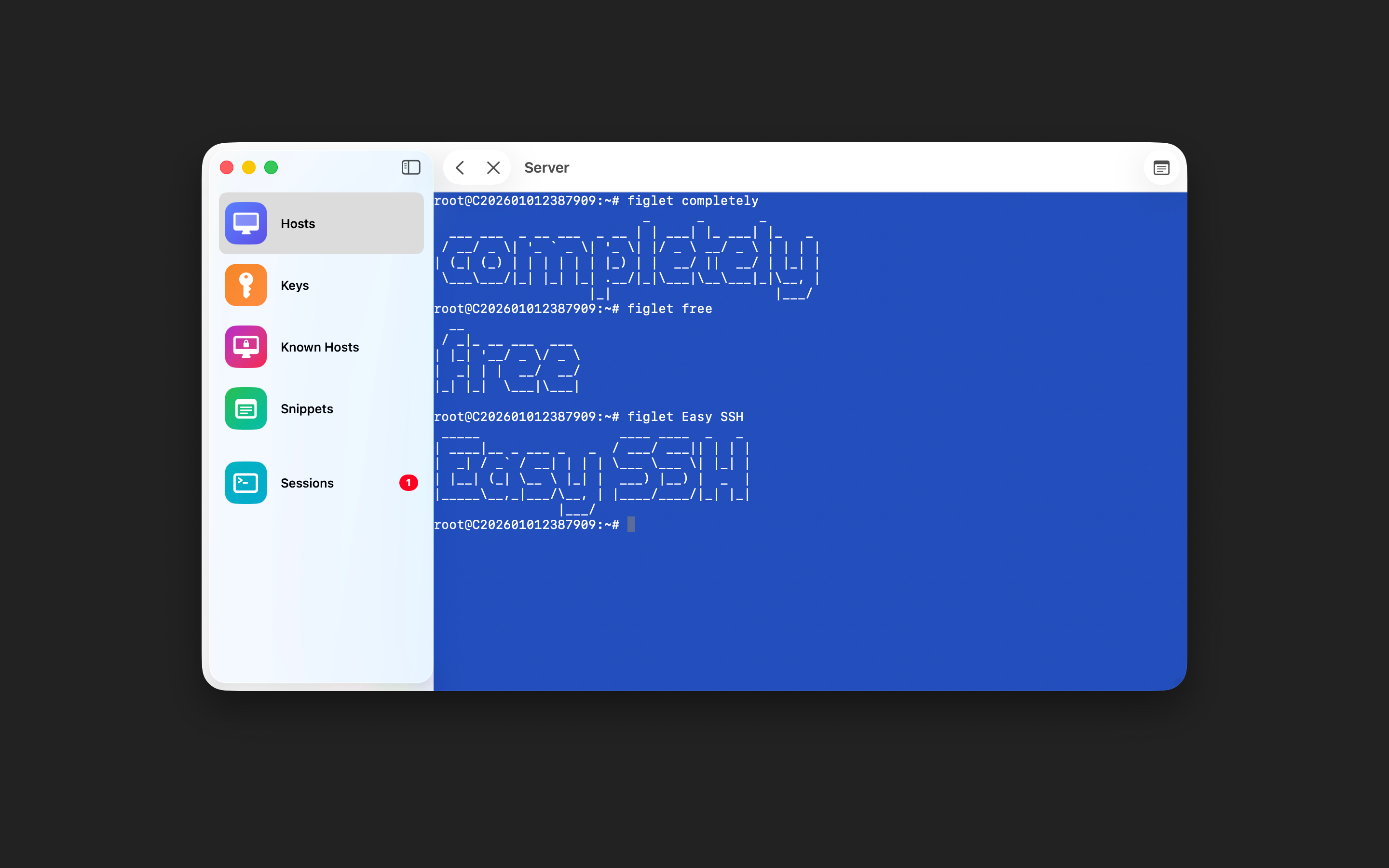 Easy SSH