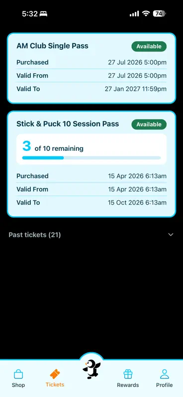 Ice Arena screenshot 4 of 6