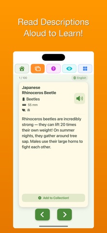 100 Bugs: Insect Encyclopedia Screenshot 4 of 6
