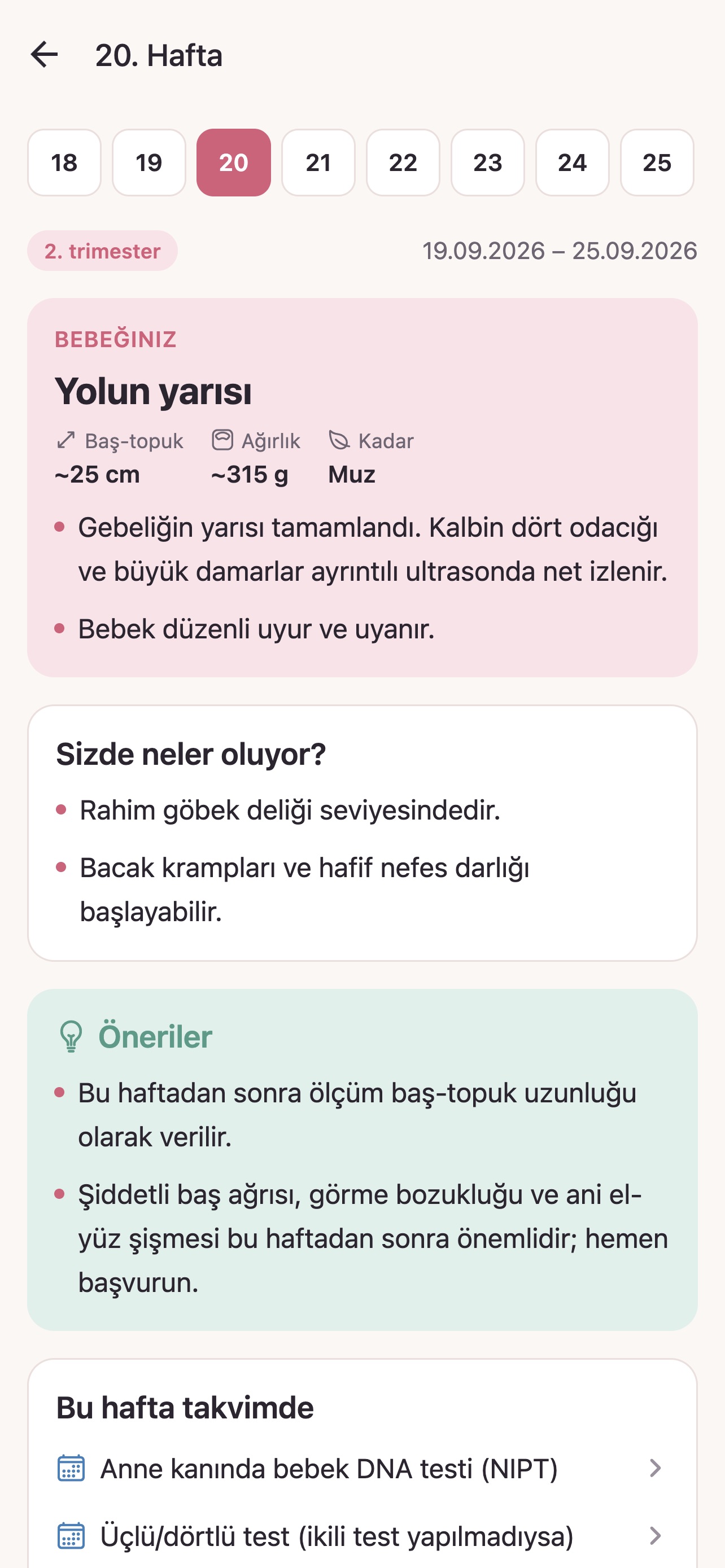 Screenshot 2 of Gebelik Rehberi: Hafta Hafta