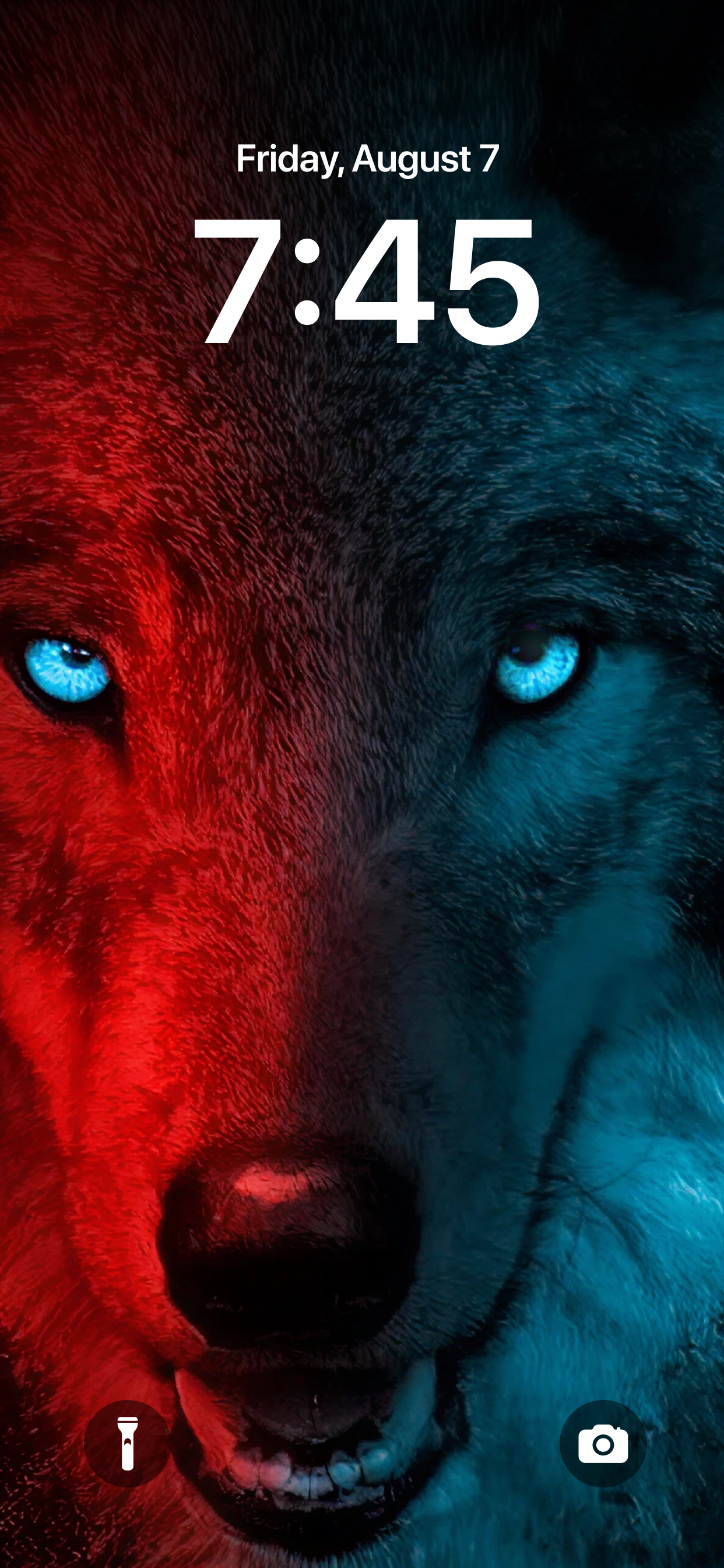 https://is1-ssl.mzstatic.com/image/thumb/PurpleSource211/v4/aa/4c/dd/aa4cdd2d-bfcb-c0bf-50b9-05ebdbdc8ac8/6.jpg/1242x2688.png