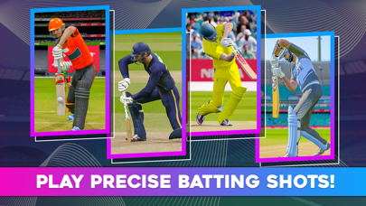 World Cricket Odi Wcc 2024 Screenshot