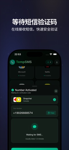 TempSMS 虚拟验证 screenshot