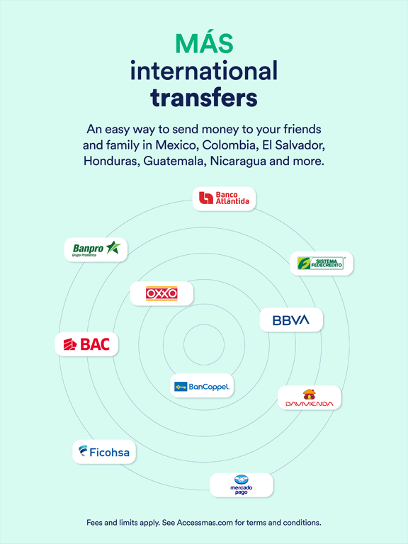 AccessMas iPad screenshot 4 - Finance app