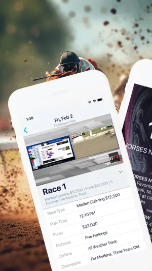 Horse Races Now screenshot 2