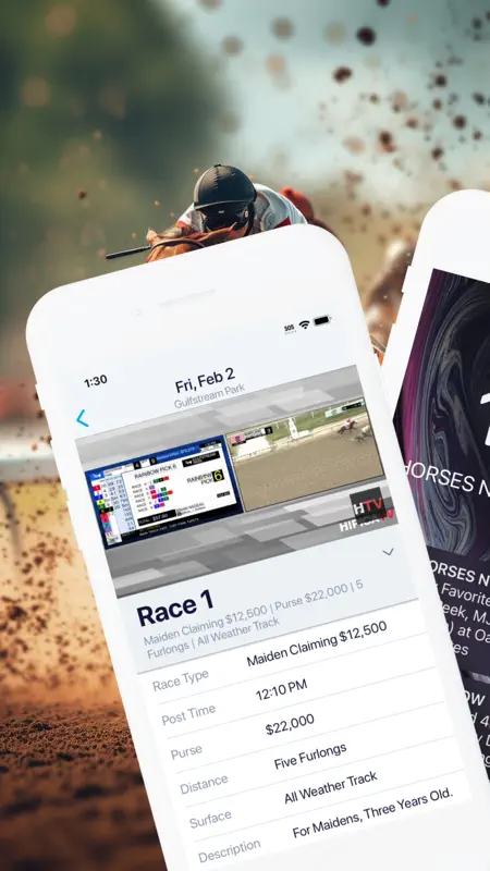 Horse Races Now screenshot 2 of 3