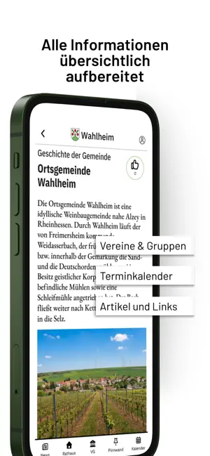 Wahlheim screenshot 4