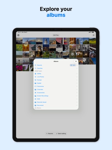 MetadataEditor - צילום מסך iPad 8