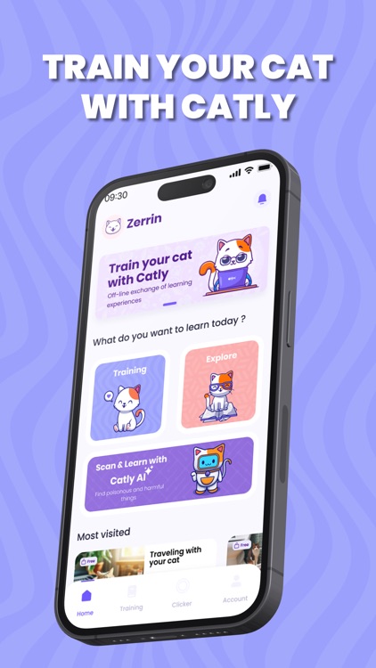 Catly - Cat Training & Tricks