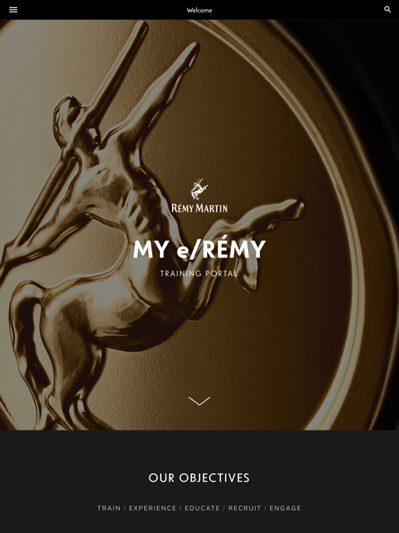 Screenshot #6 pour MY e/RÉMY