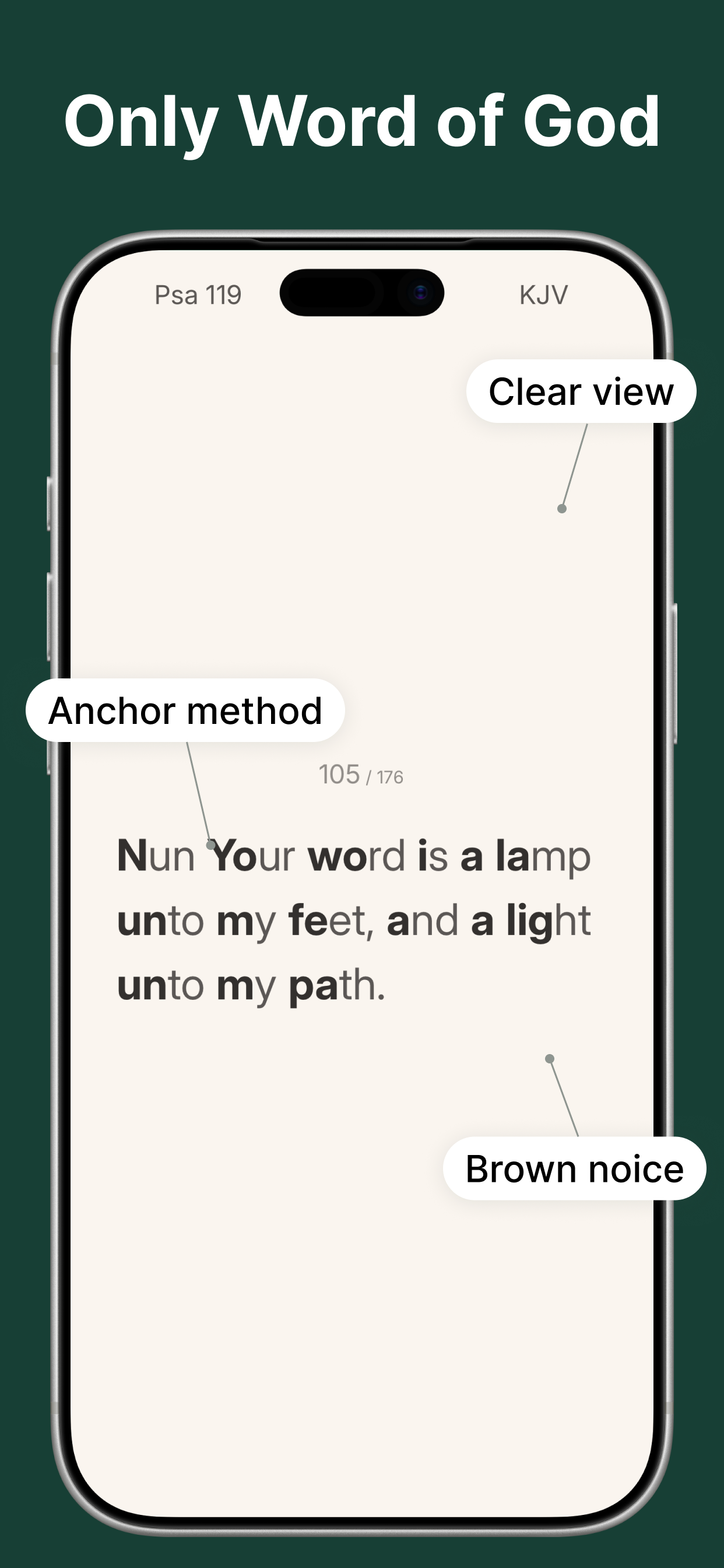 Bible365: Your Immersive Bible