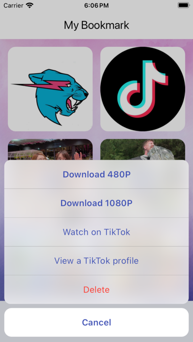 SaveTok - Save TikTok Videos Screenshot