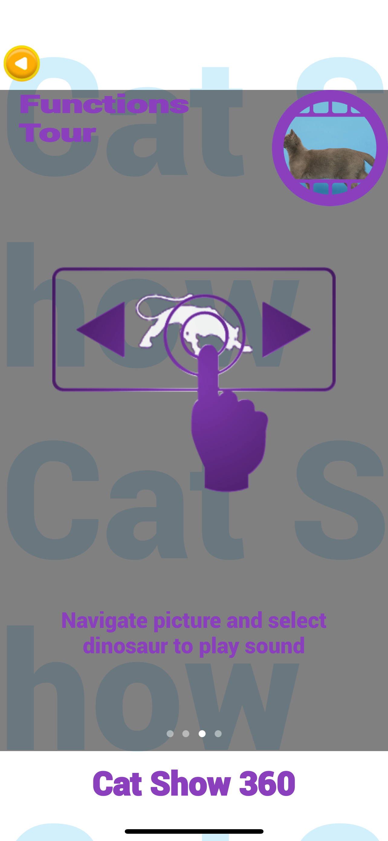 Cat Show 360
