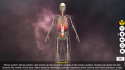 Screenshot #1 pour Urinary System Physiology