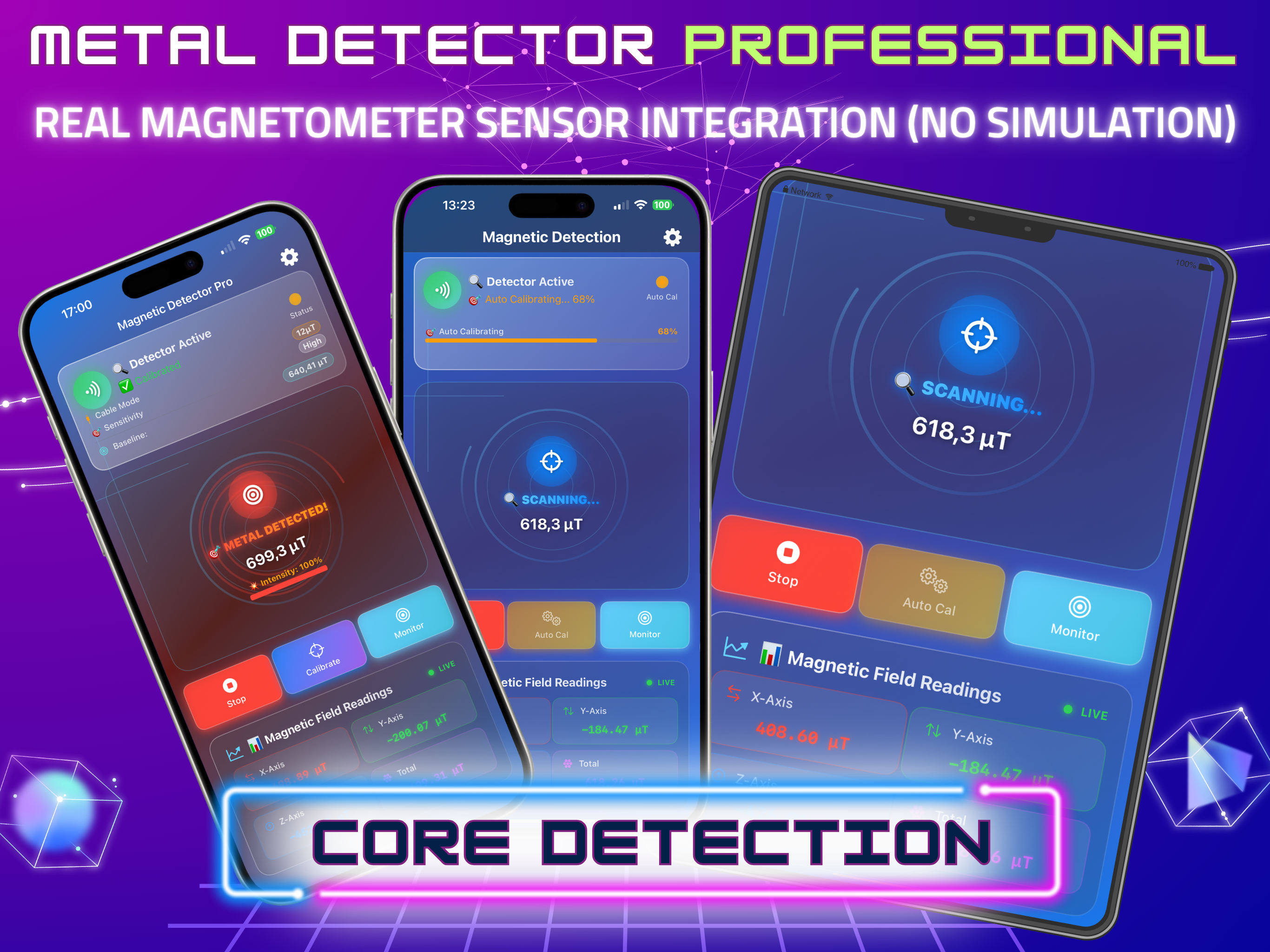 Metal Detector: Magnetometer