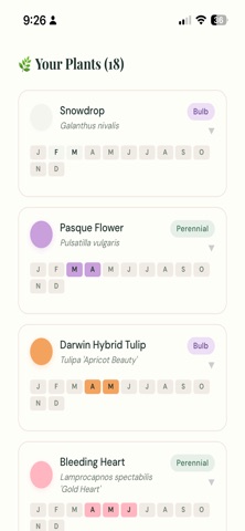 Bloom Planner App iPhone screenshot