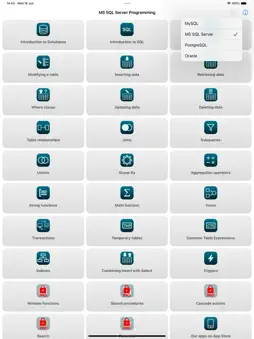 SQL Programming Guide screenshot 11