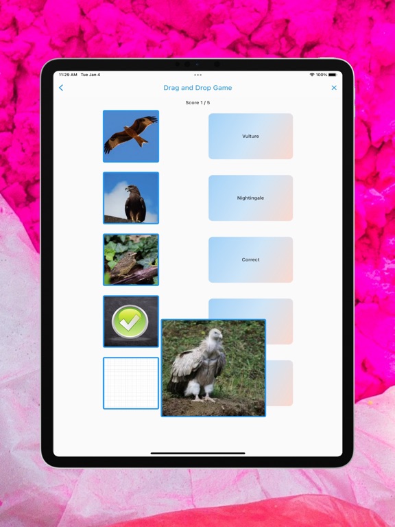 Prakash Nepali Barnamaala iPad screenshot 7 - Education app