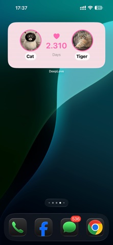 DeepLove screenshot