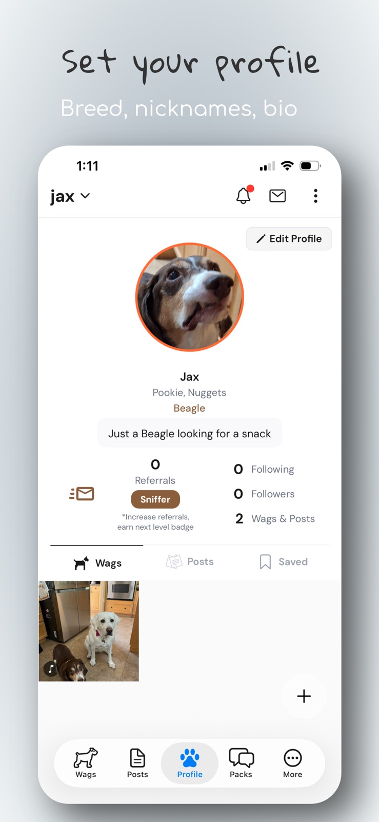 dawgg: Dog Social Media App iphone screenshot 4
