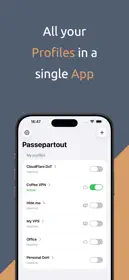 Passepartout, VPN Client 1