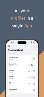 Passepartout, VPN Client 1
