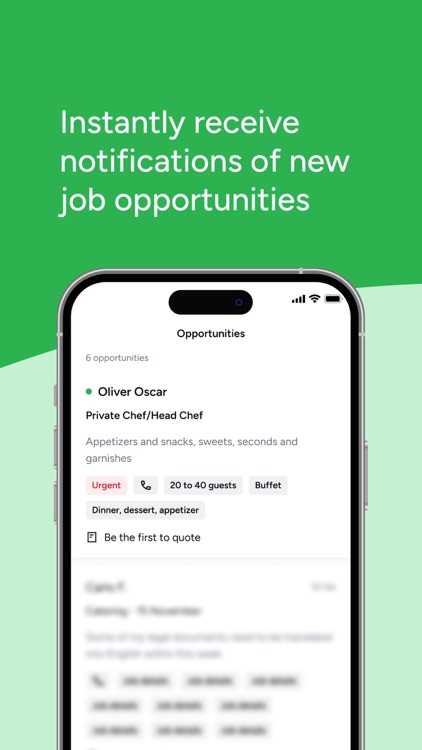 HomeRun - Professionals