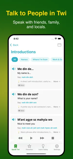 Nkyea Twi Phrasebook screenshot 2