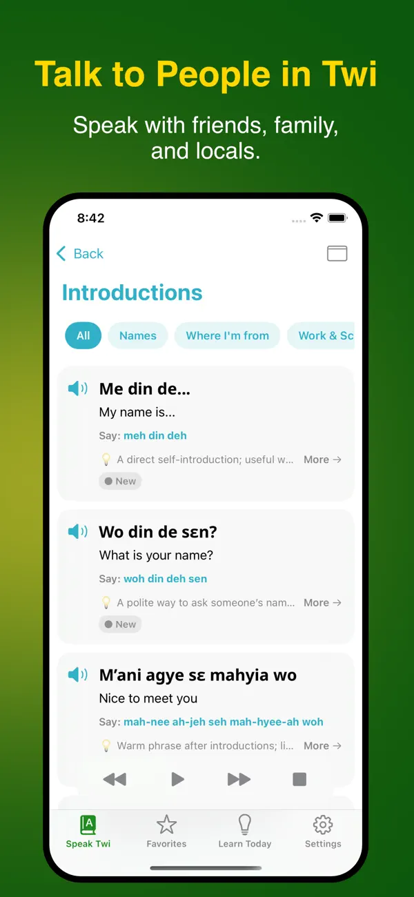 Screenshot #2 pour Nkyea Twi Phrasebook