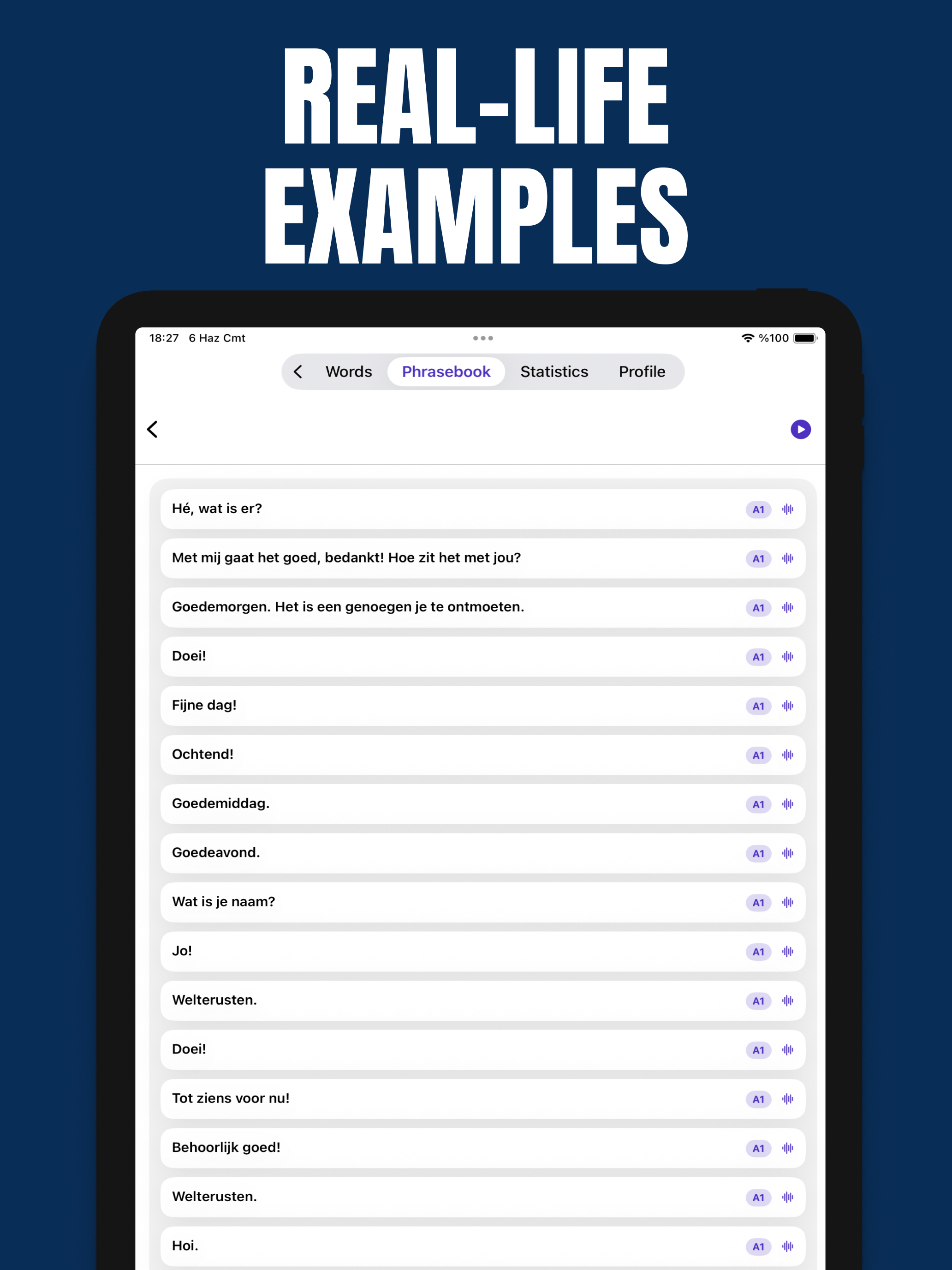 Learn Dutch Speak screenshot 9