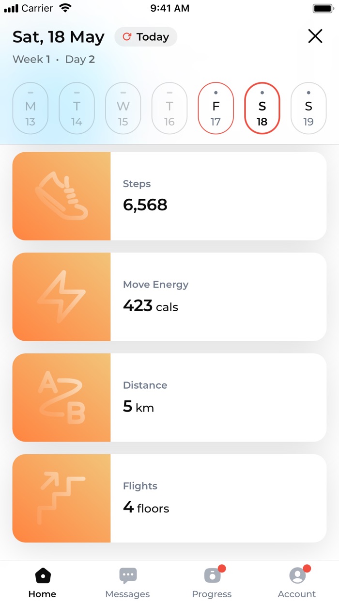 Bustdown Sensei Fitness