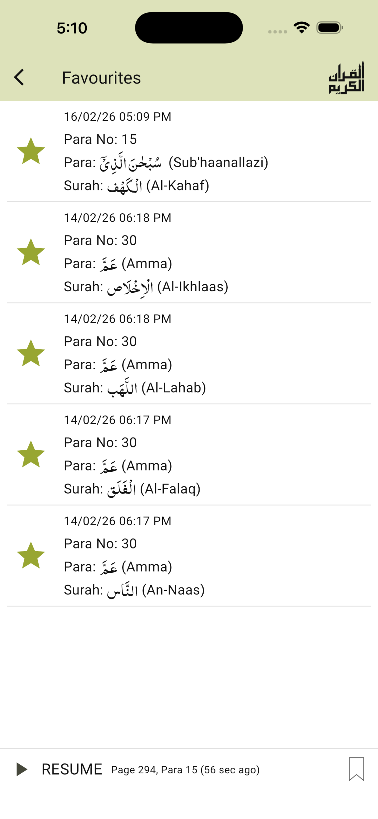Quraan-E-Karim (15 Lines)