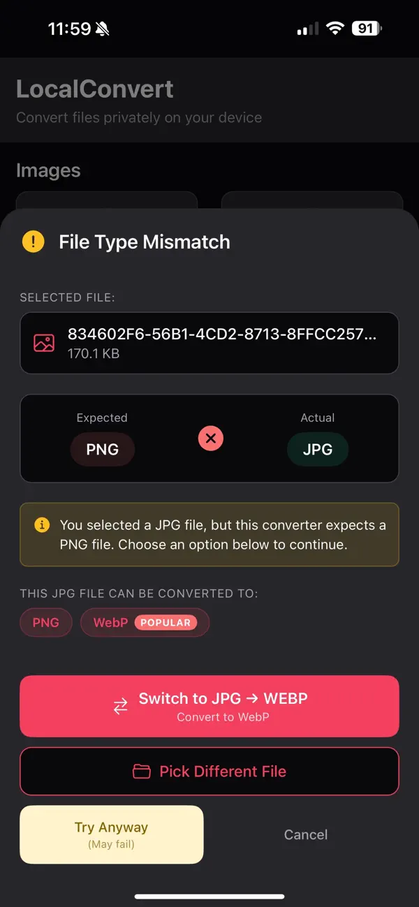 File Converter - LocalConvert Screenshot 4