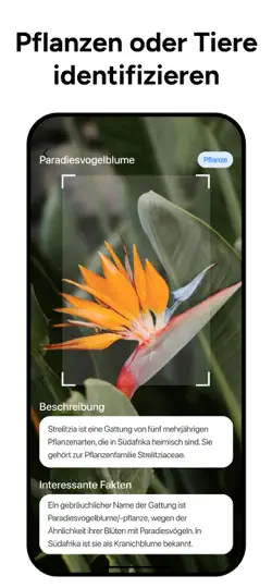 Screenshot von Lens AI: Alles Erkennen auf dem iPhone 2