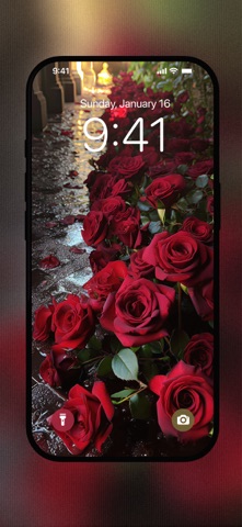 Red Rose Wallpapers Flowers screenshot