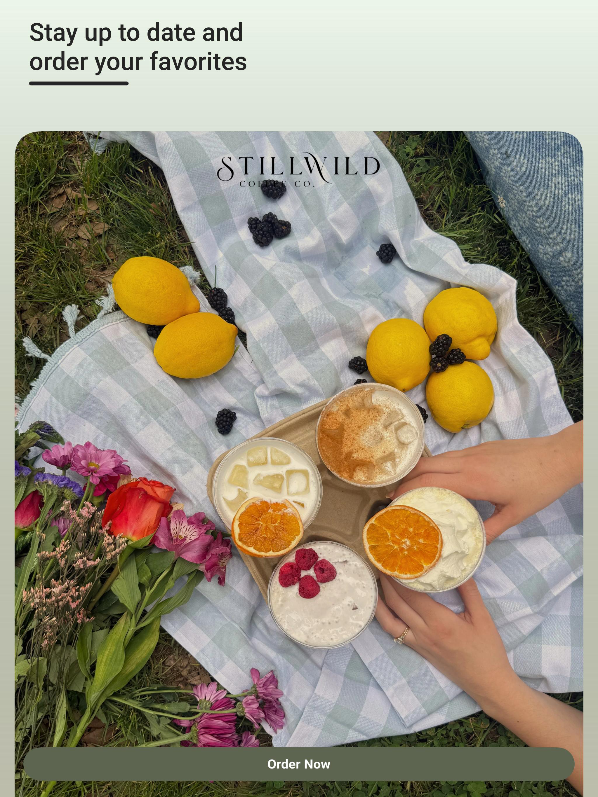 StillWild Coffee Co. screenshot 7