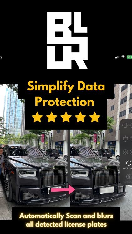 Blur License Plates