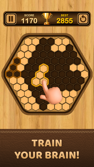 Wood Brick Screenshot