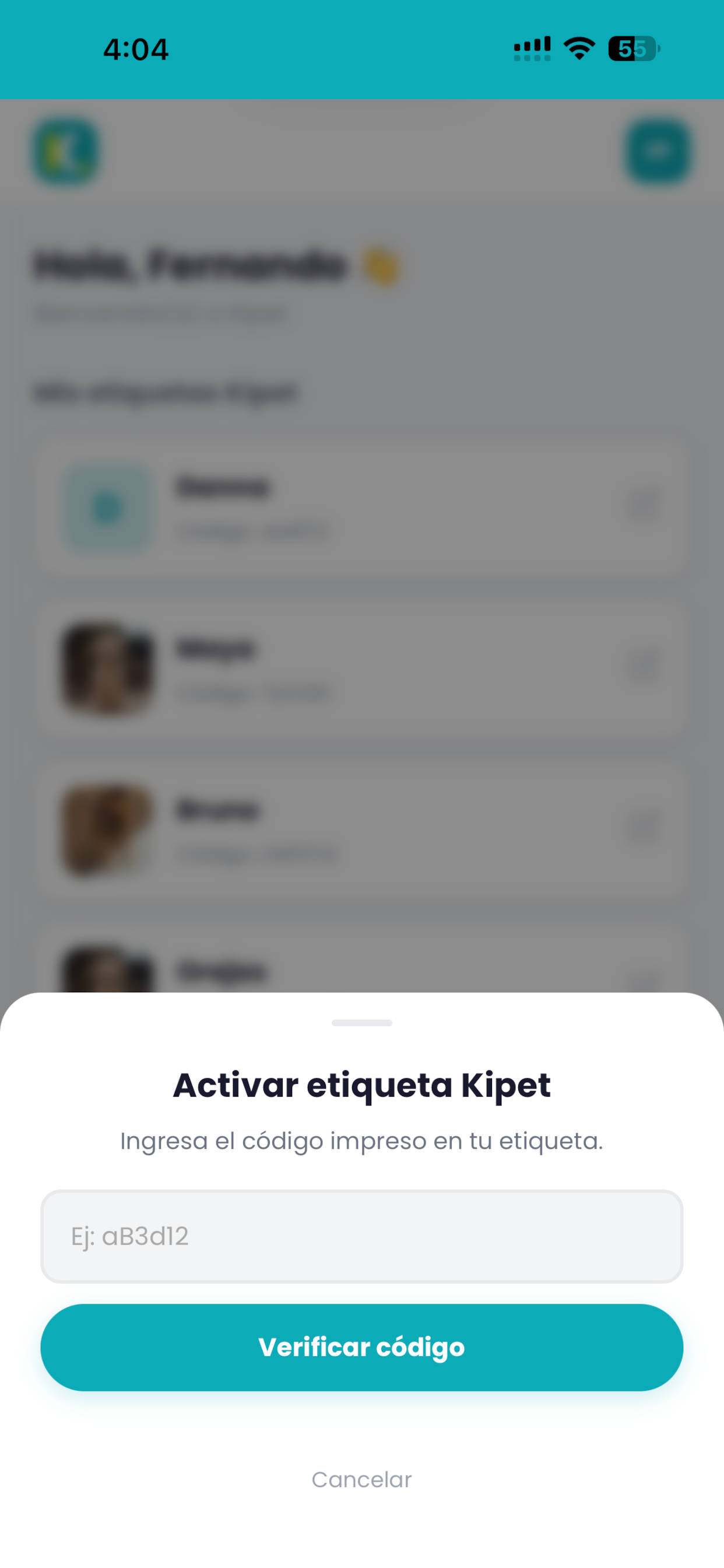 Kipet Pro screenshot 4