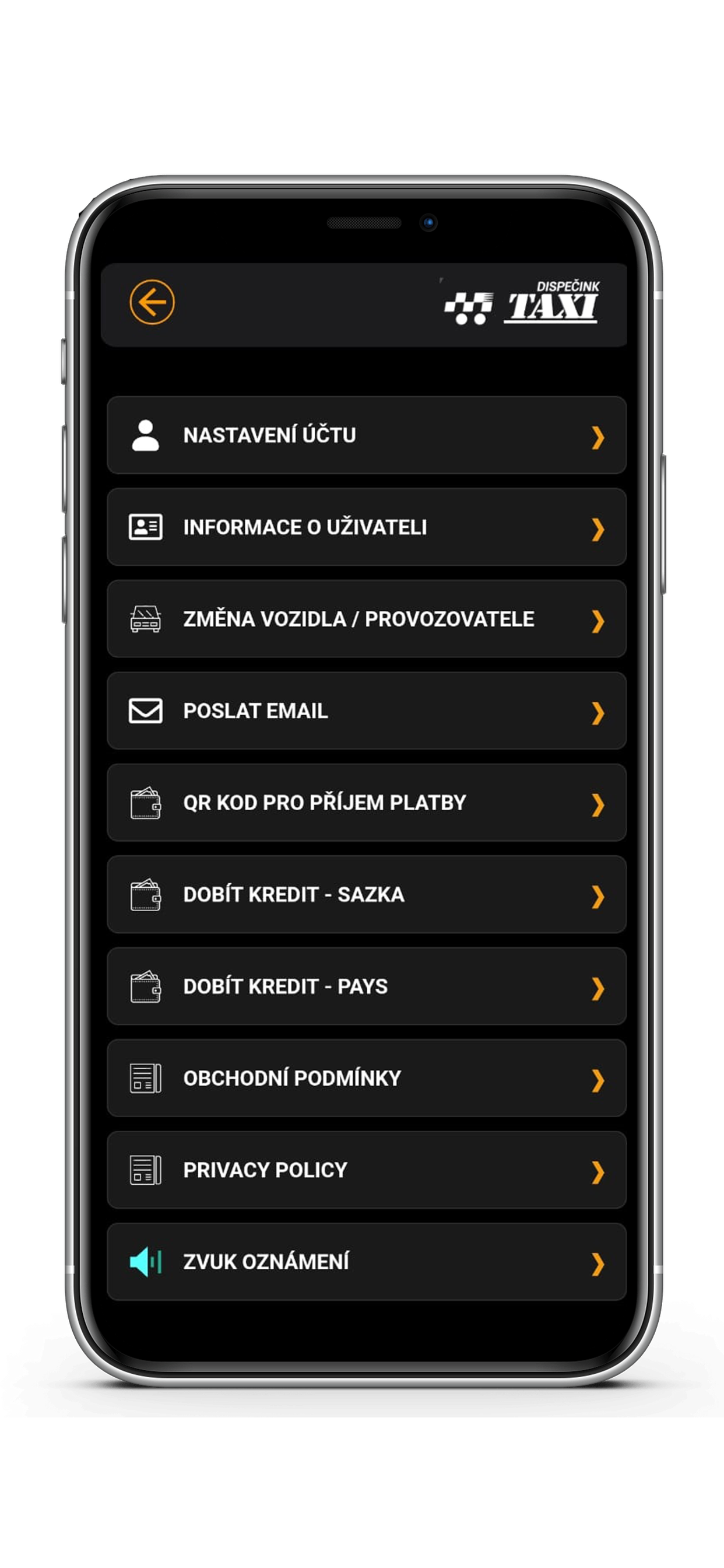 TAXI DRIVER PRAHA screenshot 8
