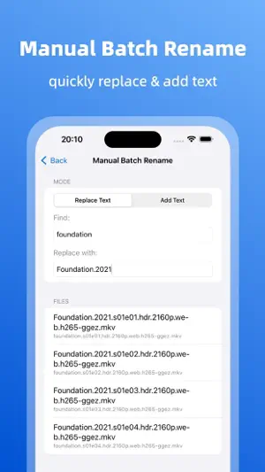 VRenamer screenshot 4