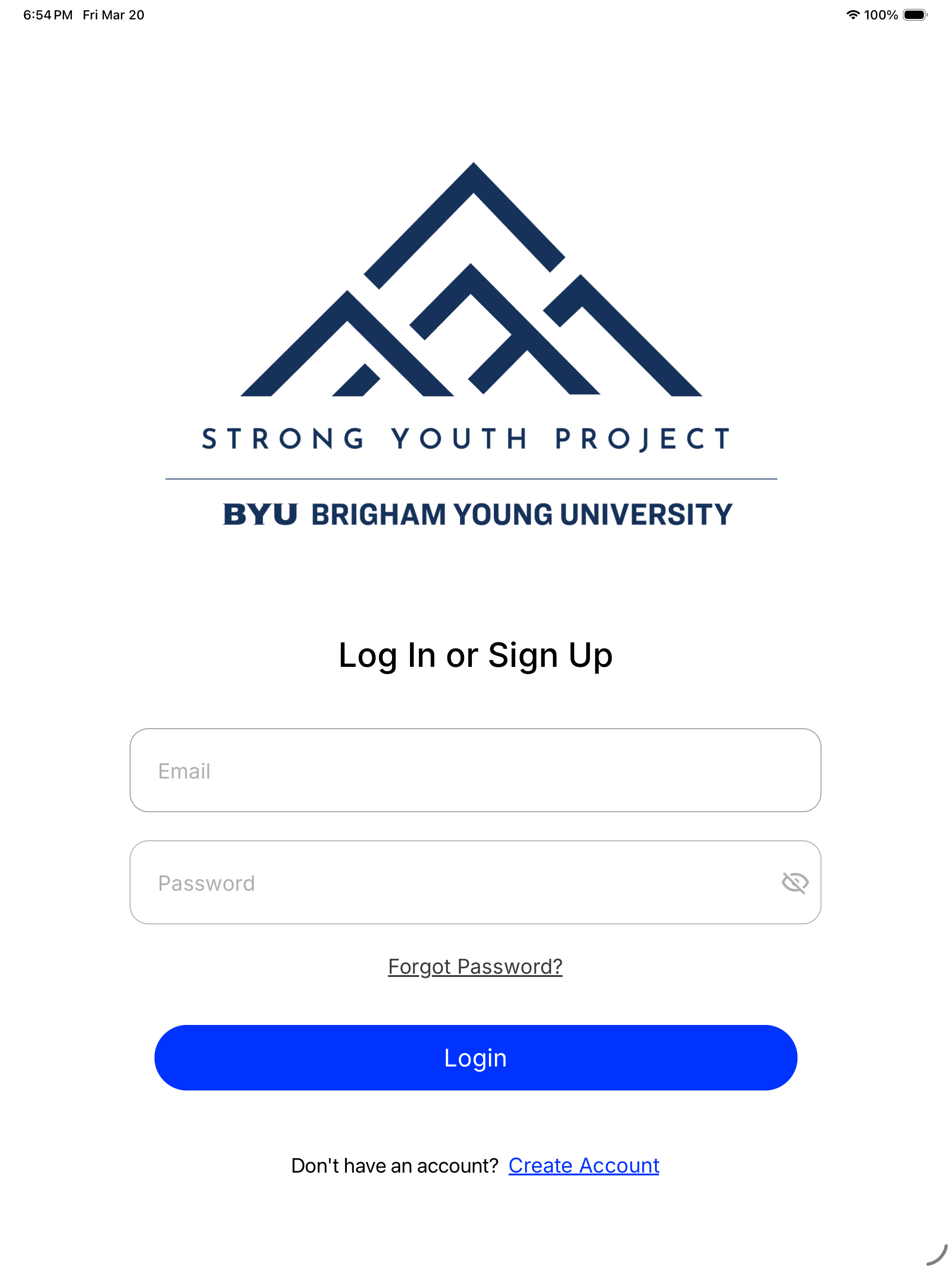 Strong Youth Project screenshot 7
