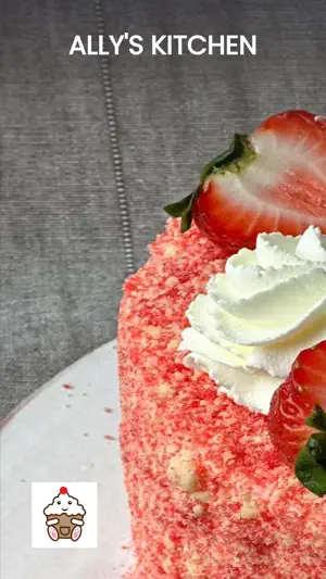 Ally's Kitchen screenshot 1