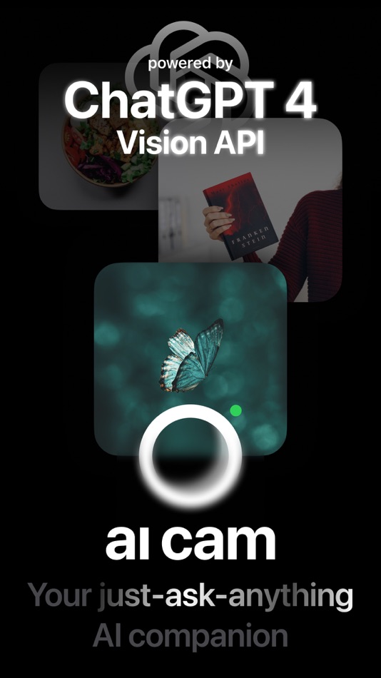 #1. AI Cam: Identify Anything (iOS) 由: tappz