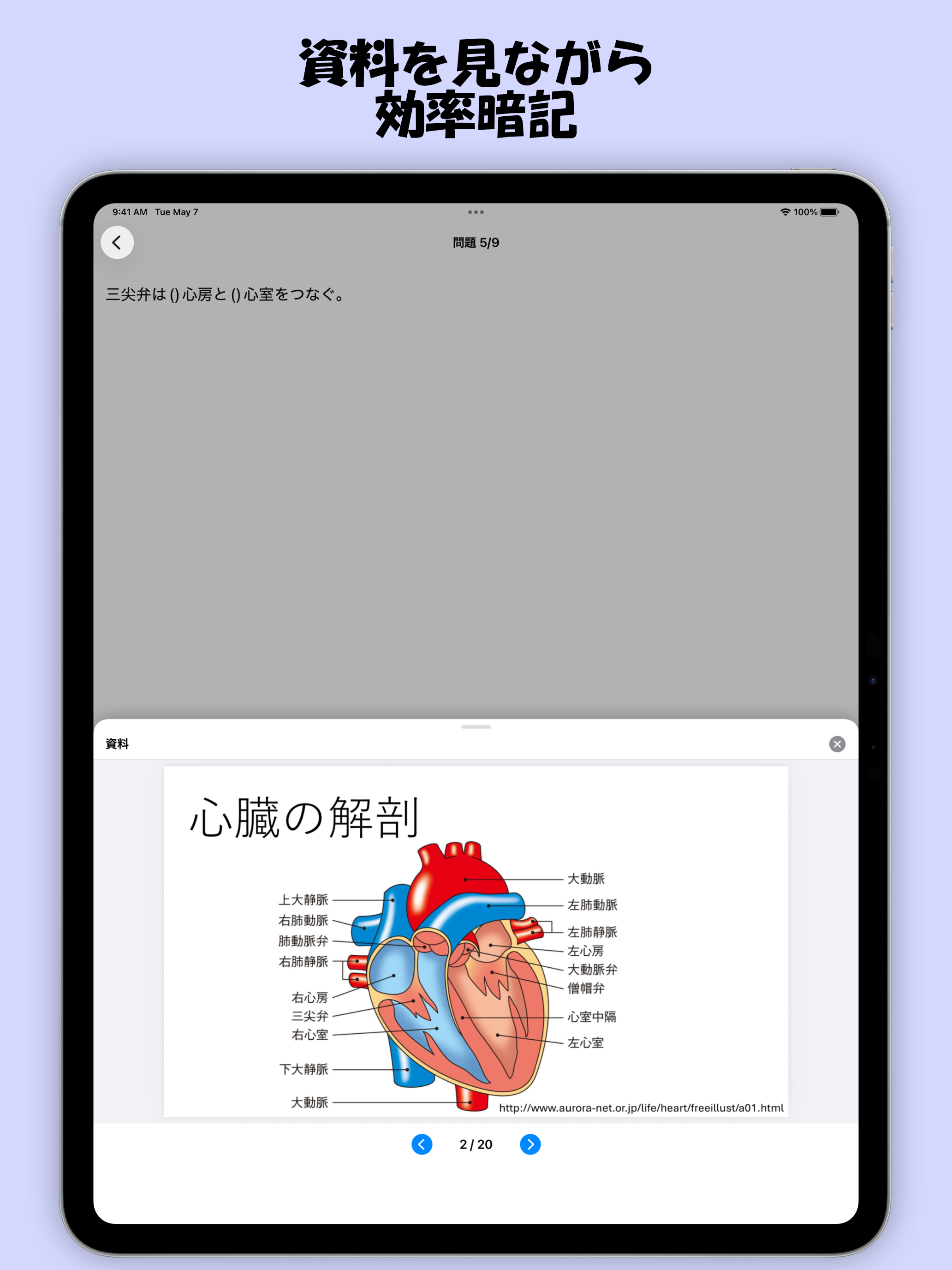 Flashnote: Flashcards app