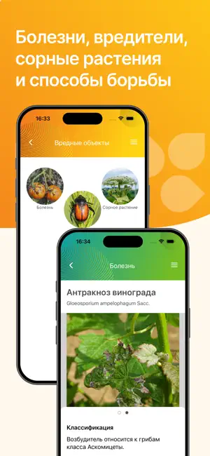 Защита растений «Август» РБ screenshot 2